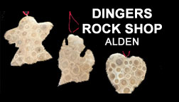 Dingers Rock Shop