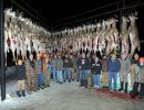 2019 11 16 wc full group of hunters at mancelona buck pole img