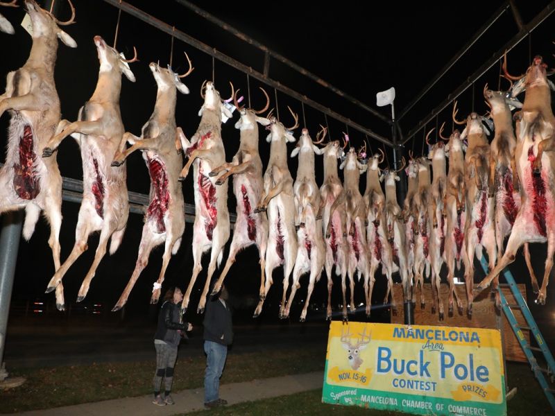 2023 11 15 fb buck pole img