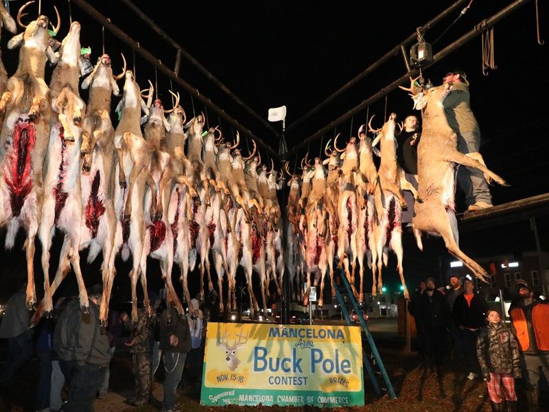 20241115 70th buck pole